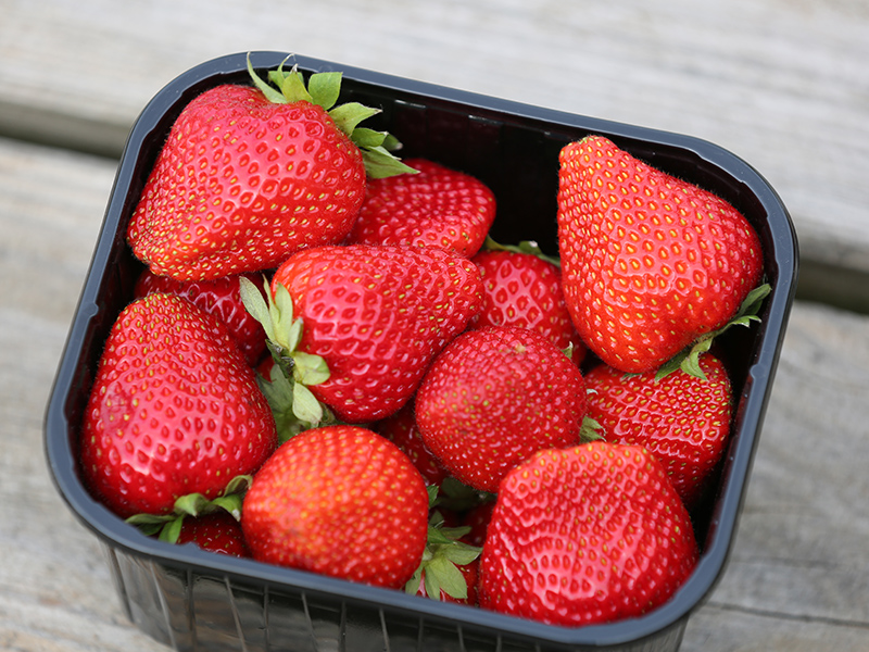 Boerderijwinkel-Lagerweij-streekproducten-aardbeien